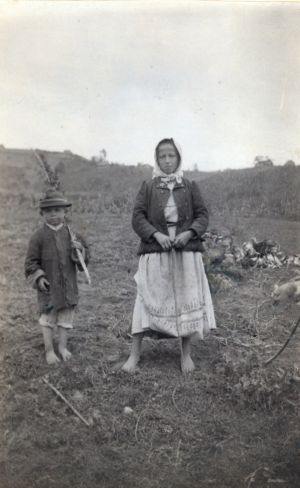 Puranari u ljetnom odijelu