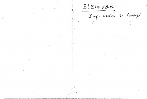 Bjelovar žup. crkva sv. Terezije