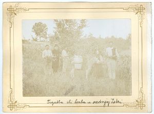 Trgatba ili berba u srednjoj Istri