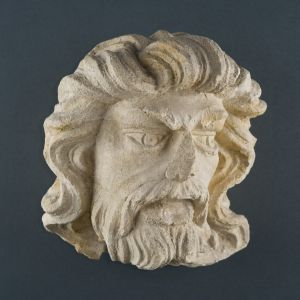 Muška glava s bujnom kosom, bradom i brkovima