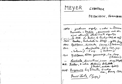 Meyer Gebrüder [i.e. Mayer] : Feldkirch, Vora[r]lberg
