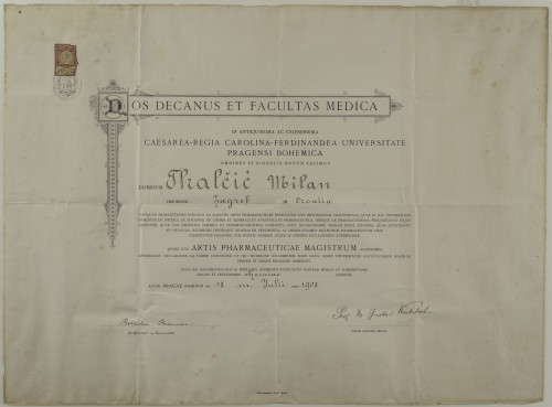 Diploma magistra farmacije Milana Tkalčića