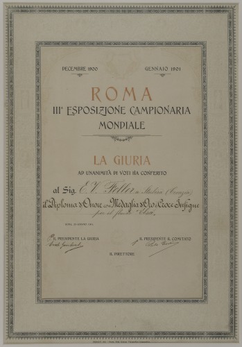 Il Diploma d'Onore con Medaglia d'Oro e Croce Insigne per il fluido 