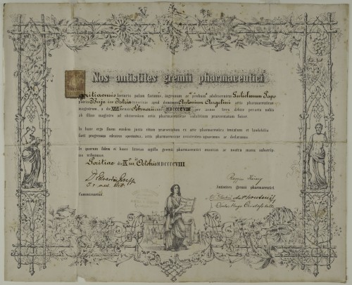 Tirocinijska diploma Gulielma Papa