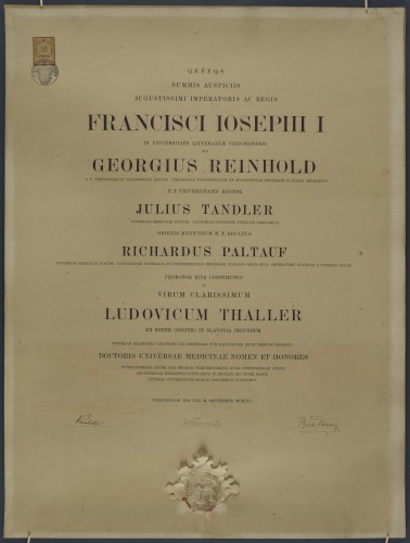 Diploma doktora medicine Luje Thallera