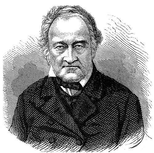 Boué, Ami