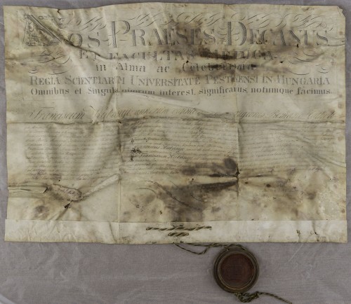 Diploma magistra farmacije Franje Kubanyija st.