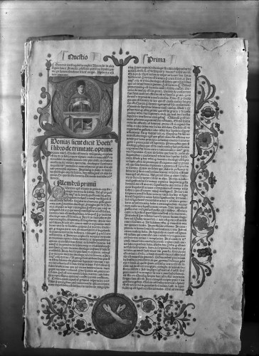 Knjižnica samostana svetog Frane (Šibenik) : Summa universae theologiae Alexandri de Ales, 1482.(?)