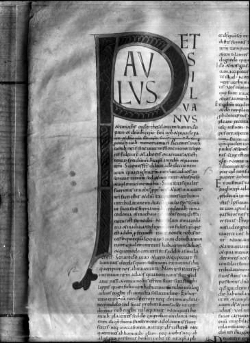 Knjižnica samostana svetog Frane (Šibenik) : Sacra scriptura, MS. 31, f. 186 (?), pergament, druga pol. 11. st.