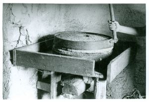 Žrvnji va kuće Lojza Šušnja