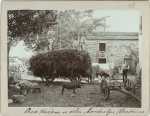 Pred kućom u Montrilju