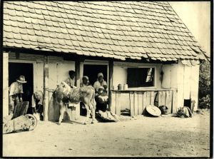 Zagrebačka stambena bijeda 1924.