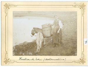 Kmetica na lokvi (Motovunšćina)