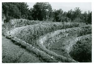 Matokov kapužnjak. Zapušćene lehi s prezidami.