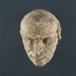 Muška glava orlovskog nosa