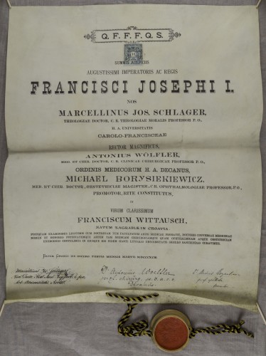 Diploma doktora medicine Franje Wittauscha