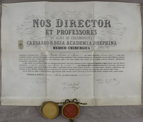 Diploma doktora medicine Franje Henslera