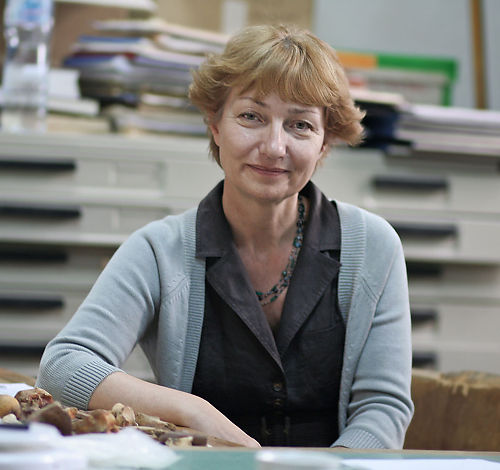 Dimitrijević, Vesna M