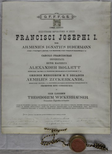 Doktorska diploma Theodora Wickerhausera