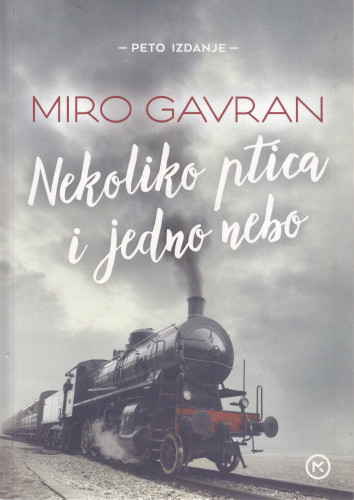 Nekoliko ptica i jedno nebo : roman / Miro Gavran