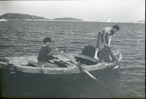 Salpanje mreže (Pomena)