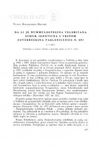Da li je Nummulostegina velebitana Schub. identična s vrstom Eoverbeekina paklenicensis n. sp.? / V. Kochansky-Devidé