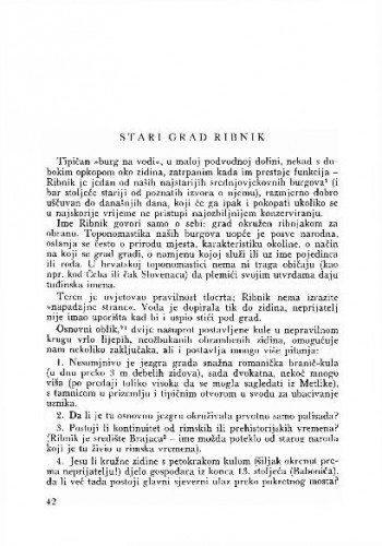 Stari grad Ribnik / S. Gvozdanović