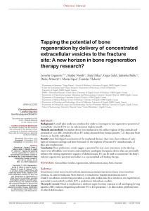 Tapping the potential of bone regeneration by delivery of concentrated extracellular vesicles to the fracture site: A new horizon in bone regeneration therapy research? / Lovorka Grgurević, Rudjer Novak, Stela Hrkač, Grgur Salai, Jadranka Bubić, Dinko Mitrečić, Marija Lipar, Tomislav Vlahović