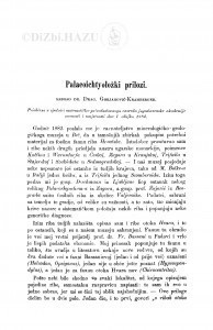 Palaeoichtyoložki prilozi / D. Gorjanović-Kramberger