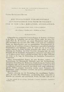 <Die> fusuliniden Foraminiferen aus dem Karbon undPertm im Velebit in der Like (Kroatien, Jugoslawien) / V. Kochansky-Devidé