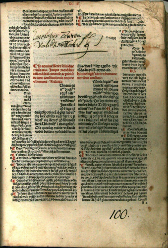 Mamotrectus super Bibliam / [Johannes Marchesinus]