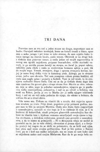 Tri dana / Dubravko Horvatić