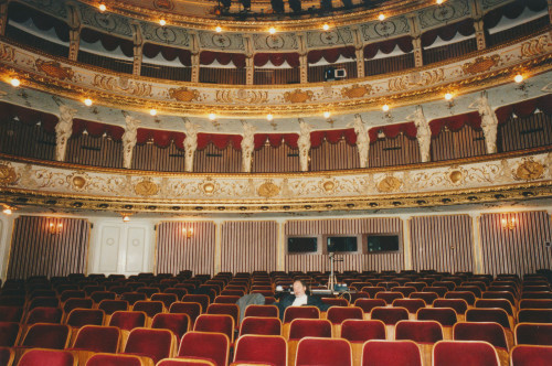 Berenikina kosa