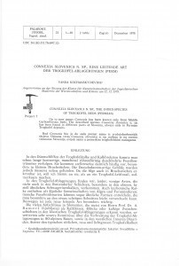 Connexia slovenica n. sp., eine leitende Art der Trogkofel-Ablagerungen (Perm) = Connexia slovenica n. sp., značajna vrsta trogkofelskih naslaga (Perm) / Vanda Kochansky-Devidé