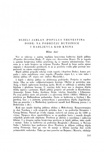 Bijeli jablan (Populus thevestina Dode) na području Butišnice i Radiljevca kod Knina / M. Anić