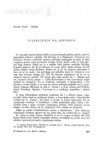 Cijepljenje na Josipovo / B. Fučić