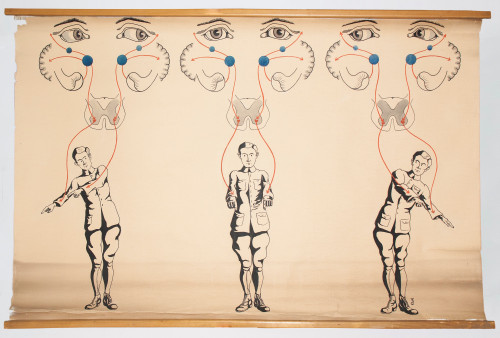 Kretnje očnih jabučica pri raznim položajima tijela