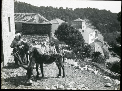 Žena s tovarima, pred kućom (Goveđari)