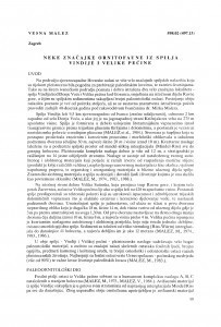 Neke značajke ornitofaune iz spilja Vindije i Velike pećine / Vesna Malez