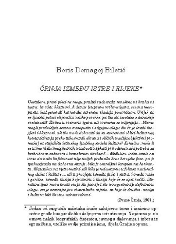 Črnja između Istre i Rijeke / Boris Domagoj Biletić