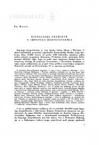 Histološke promjene u Impetigo herpetiformis / F. Kogoj