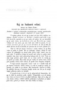 Kaj so hudourni vrtinci / S. Šubić