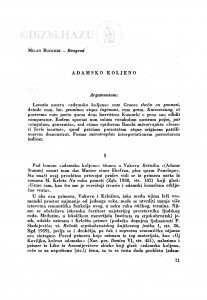 Adamsko koljeno / M. Budimir
