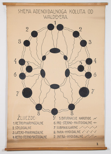Shema Waldeyerova limfatičkog prstena