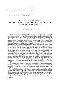 Prilog poznavanju plastike prednje strane podlaktice (Fenomen indeksa) / J. Krmpotić