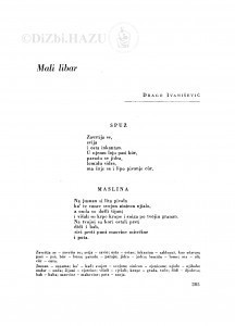 Mali libar / D. Ivanišević