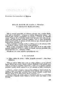 Bilje kojim se gata i vrača u okolici Bjelovara / Z. Lovrenčević