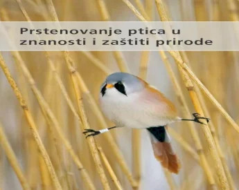 Prstenovanje ptica u znanosti i zaštiti prirode / [autori Stephen Baillie...[et al.] ; [urednik Matthias Kestenholz ;  hrvatski prijevod Davor Ćiković]