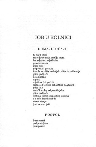 Job u bolnici / Tonči Petrasov Marović 