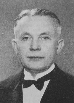 Budisavljević, Srđan